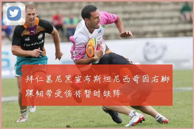 拜仁慕尼黑宣布斯坦尼西奇因右脚踝韧带受伤将暂时缺阵