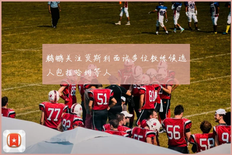 鹈鹕关注莫斯利面试多位教练候选人包括哈姆等人